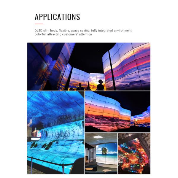 Full Color 500cd/m2 55" 1920x1080 Curved OLED Screen