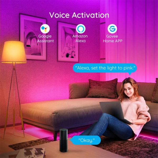 Dream Color Smart Strip Light RGBIC Rope Lights Alexa Tape Light Home Theater Game Room Decor