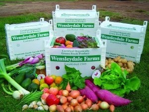 CORRUGATED CARTON FRUIT BOX