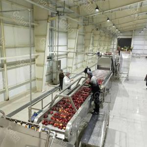 Wholesale China Made Apple Juice Processing Line Automatic Multifunctional with Strict Quality Control from china suppliers
