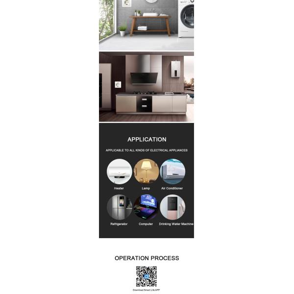 FR Smart Plug(WF-08)