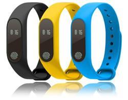 Bracelet with OLED LCD display, embedded Battery, Bluetooth low energy, Calories