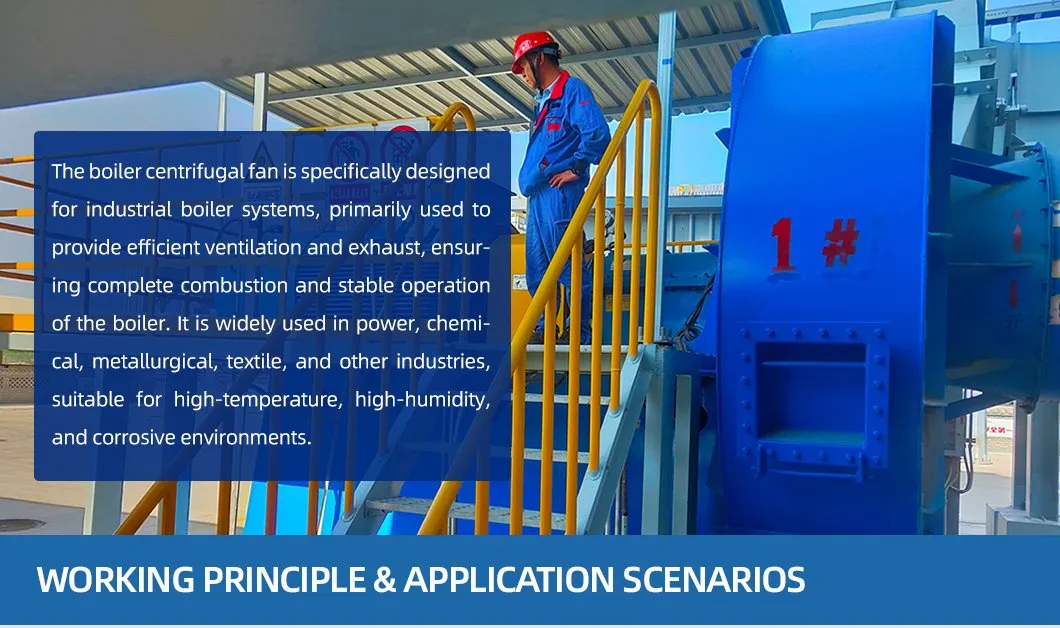 Coal-Fired Boiler System Supporting Ventilator Induced Draft Fan