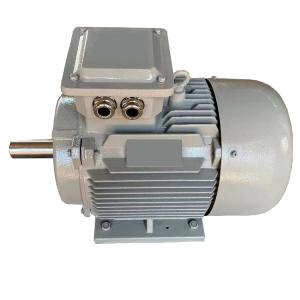 Wholesale 75kw 300rpm 400V 60HZ PMG PMSG Permanent Magnet Synchronous Generator For Wind Turbine from china suppliers