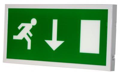 Quality LED recessed emergency exit light for sale