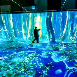 Wholesale Virtual Learning Spaces Immersive Classroom Immersive Education Application from china suppliers