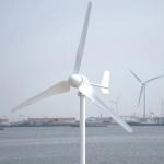 Off Grid Horizontal Wind Power System With Wind Solar Hybrid Controller