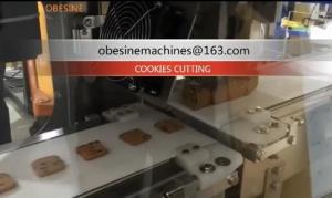 China Hard cookies Moulding  Machine , Biscuits Making machine , pancakes machine,  Cake machines, cookies depostior on sale