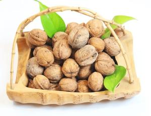 Wholesale Walnut wholesale price paper shell walnut thin shell Xinjiang walnut washed 185 walnut from china suppliers