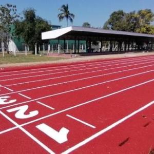 China Eco Friendly Prefabricated Rubber Running Track With IAAF Approved on sale