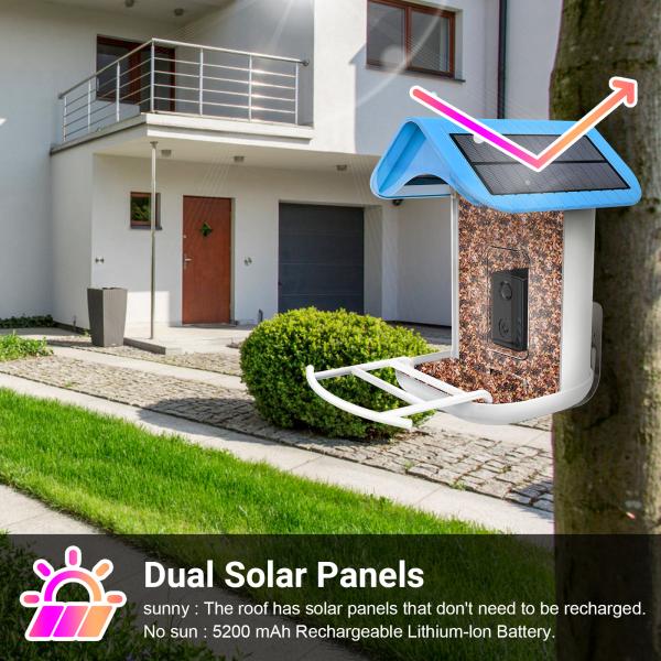 Wild bird feeder AI recognition smart bird feeders with solar panel