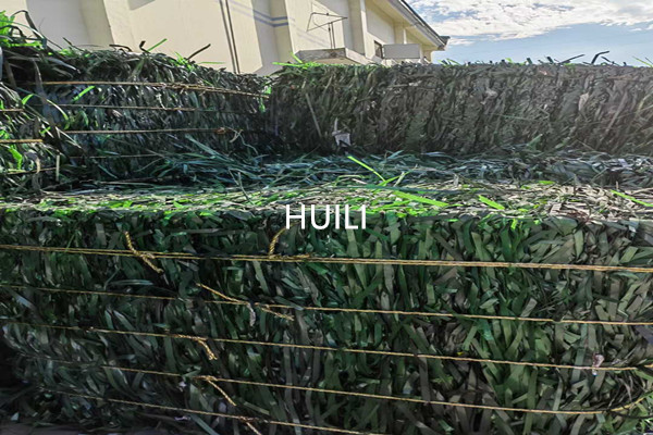 PLC PET Strap Making Machine Plastic Steel Belt Manufacturing Equipment 100-600Kg/H