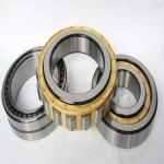 China SL04 5010 PP Cylinder Roller Bearing NNF 5010 ADB-2LSV for sale