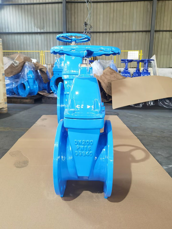 Wholesale Soft Seat Din F4 Gate Valve For Water Tank Resilient Wedge With EPDM Gasket from china suppliers