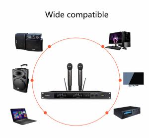 Metal Case Rechargeable Karaoke Microphone Dual Channel 100-240V