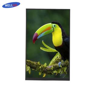 Wholesale Vibrant Visuals LCD Display Module 16.7M 10.1 TFT LCD Monitor from china suppliers