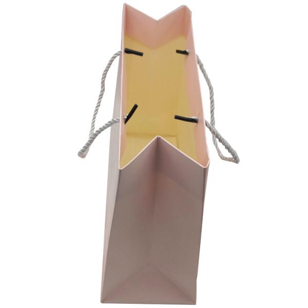 Pantone Matte Printed Paper Bags Embossing Offset 250gram With Twisted Handles