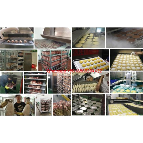 500kg/Hour Freon Compressor Mesh Belt IQF Freezing Machine