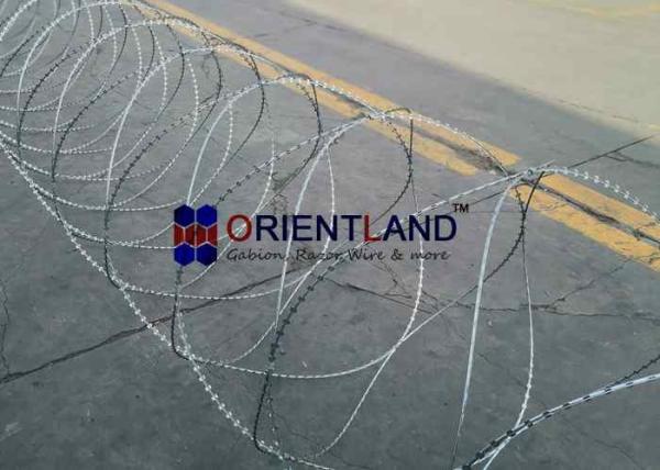 Quality 54-56 Loops Coiled Razor Barbed Wire With Steel Tape Sharp Edged Blades for sale