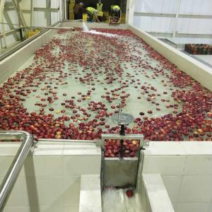 Wholesale Energy-saving And Efficient Industrial Applesauce Processing Line Machine 4000T/D from china suppliers