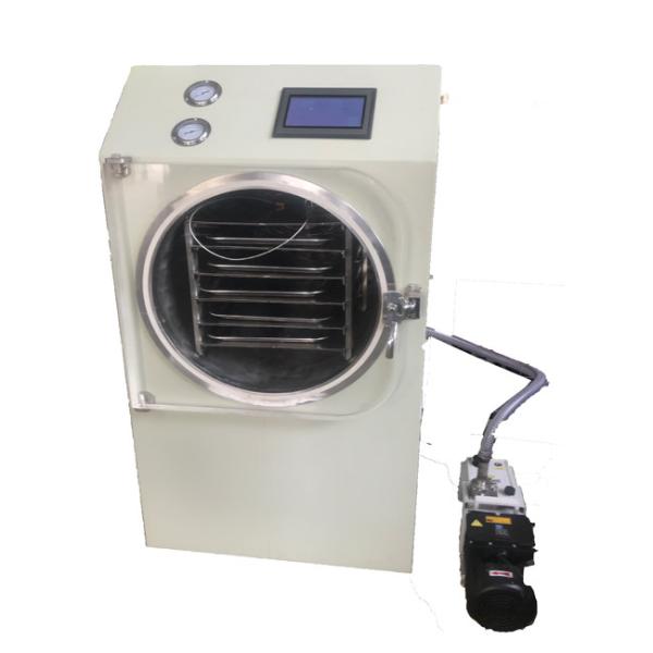 Energy Saving Kitchen Freeze Dryer With Automatic Overheat Protection