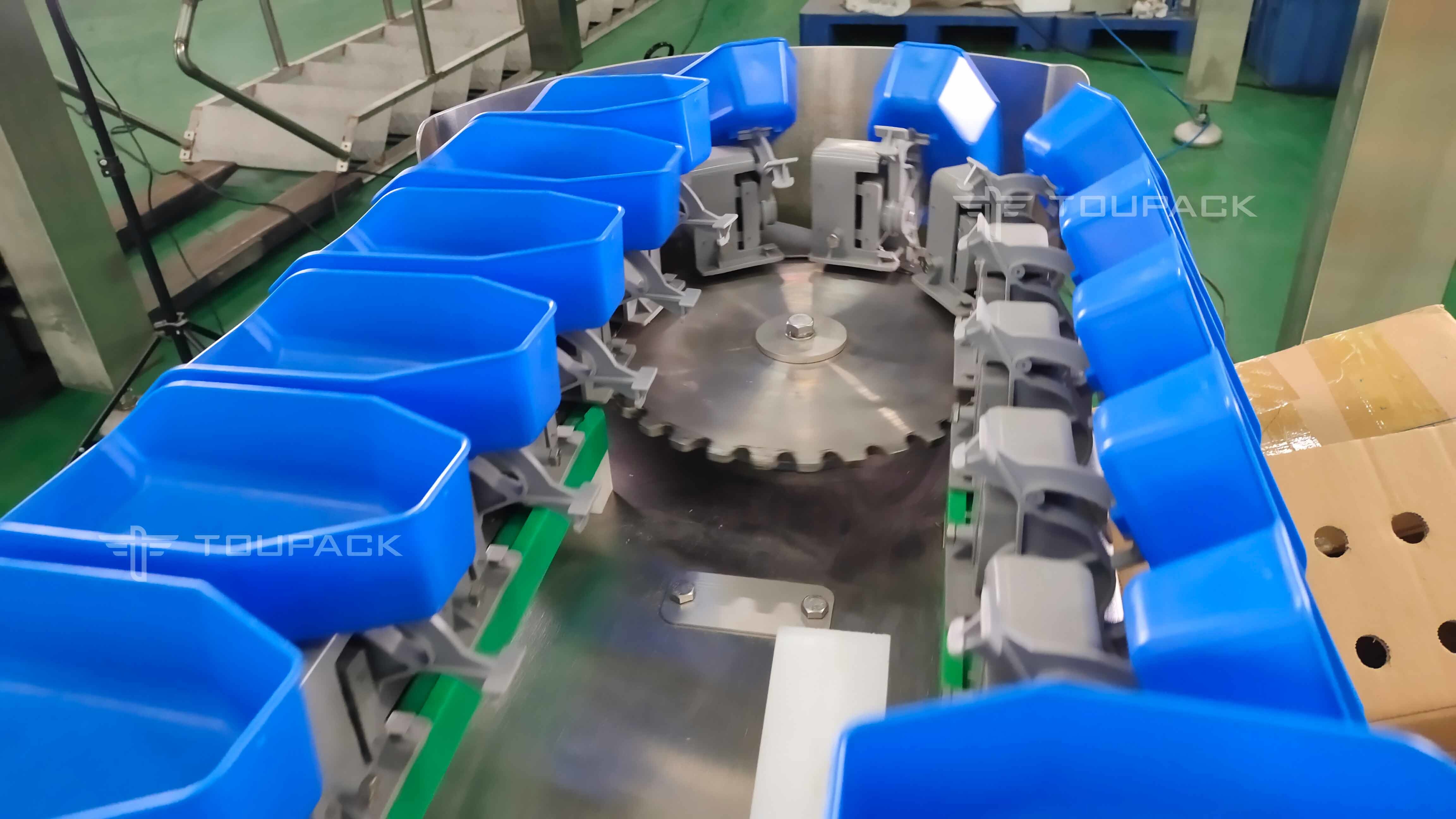 Fish Shrimp Trepang Weight Sorting Machine Automatic Conveyor Belt Grader Sorter Machine