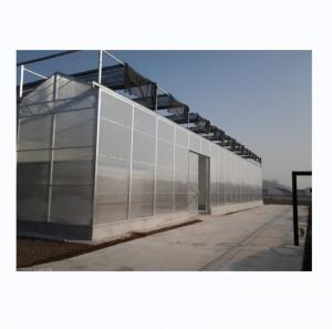 Wholesale PC Plastic Polycarbonate Sheet Multi Span Hydroponic Greenhouse from china suppliers