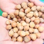 380V 8 Channels Hazelnuts Sorting Machine 360 Degree Rotational Scanning