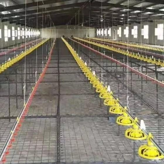 Quality Linear Feeder Poultry Automatic Pan Feeding System for sale