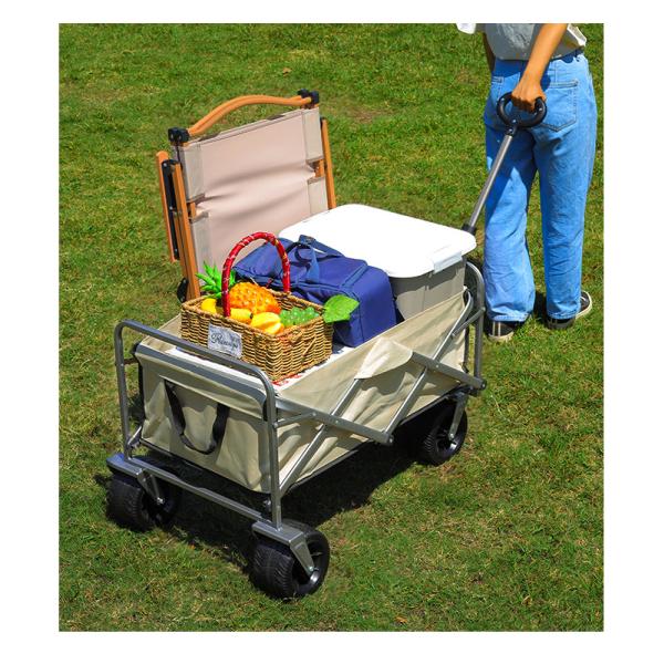 Wagon in multiple color options