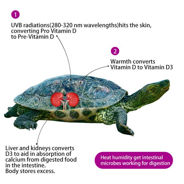 Medical Treatment UVB LED Chips 300NM 305NM 308NM 310NM 315NM 1watt