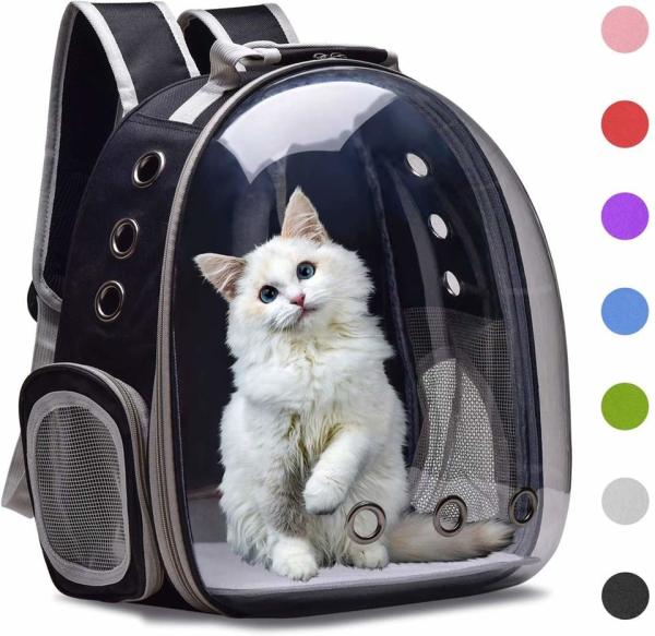 Quality Transparent Capsule Pet Bag Carrier Luggage Case Transparent Trolley Case With Trolley Wheels for sale