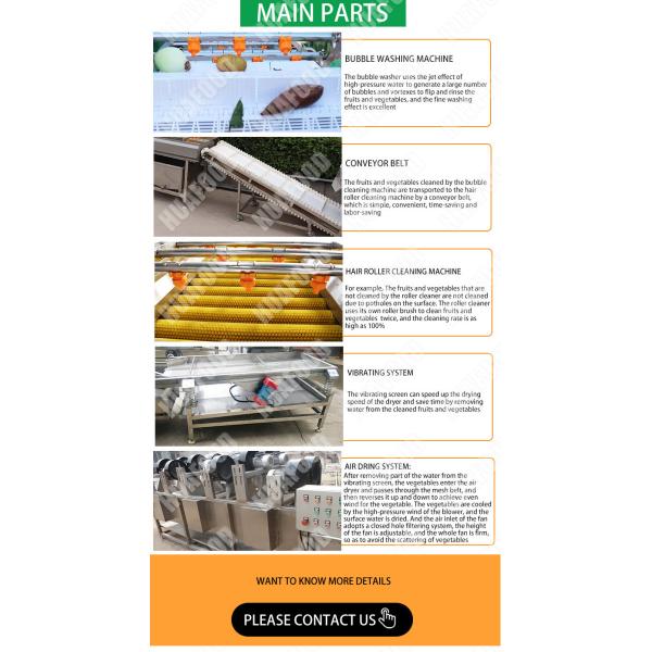 Multifunction Vegetable Cleaning Machine Fruit And Vegetable Processing Machine