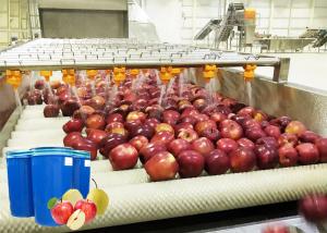 Wholesale Ss 304 Apple Processing Line / Fruit Jam Making Machine High Level Sanitation from china suppliers