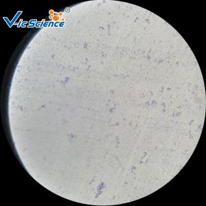 Wholesale Customized Teaching Histology Glass Slides Set 93pcs VIC07 Odm Service from china suppliers