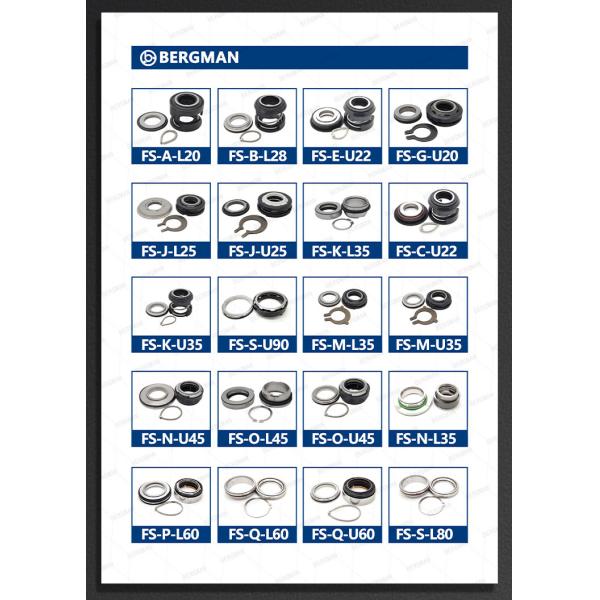 BERGMAN Replace Flygt Pump Seal FQL-60mm 3170 3201 4670 4680 5550 600 5100.230 PUMP Lower Sealing Mechanical Seal