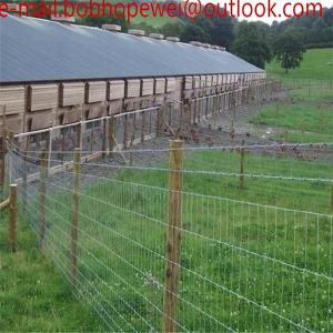 hinge joHigh Tensile woven wire Cattle Goat Fence/field fence/cattle fence/fixed knot fence/cattle farm fence for cow