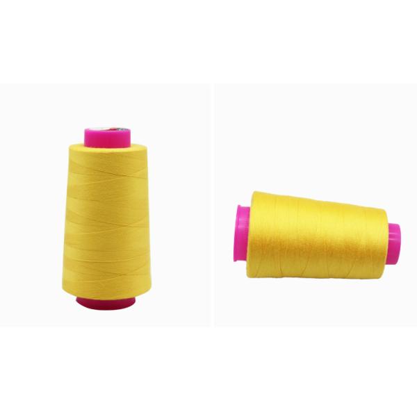 100% Polyester Sewing Thread 40/2 for Chemical Resistance and 7 Days Sample Order Lead Time