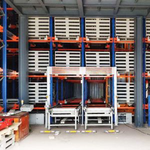 Stacker + Shuttle ASRS，Automatic Storage And Retrieval System