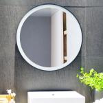 Rust Resistant Metal Chassis LED Mirror Light With Anti-Fog Function And Sleek