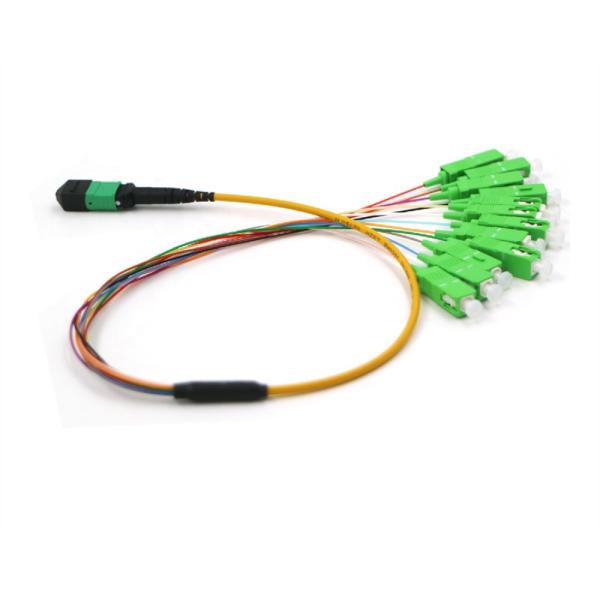 Elite MTP/MPO To SC/Apc OM5 LSZH Single Mode Patch Cord