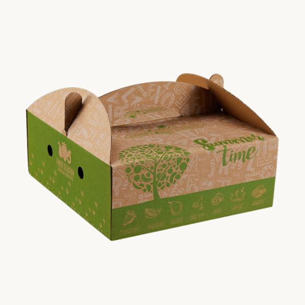 Reusable Leakproof Corrugated Gift Box With Handle Multipurpose