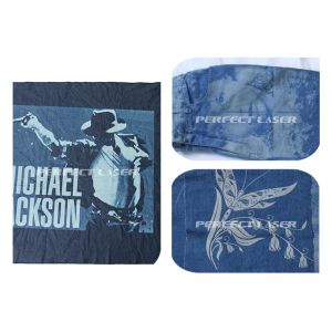 Fast Speed Co2 Laser Engraving Machine with Galvanometer Scanning Head