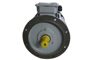 China 5.5 Hp 4kw 3 Phase Induction Motor 2 Poles 50Hz Y2-112M-2 For General Driving on sale