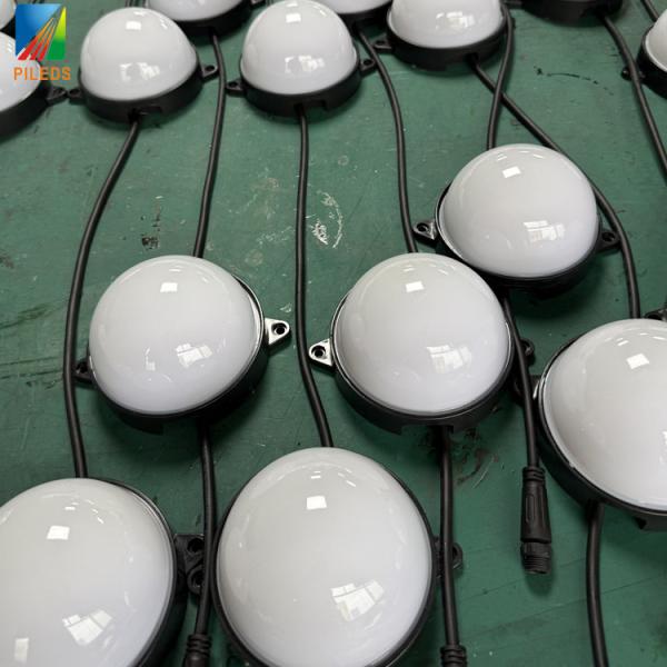 Indoor & Outdoor SMD5050 RGB DMX SPI Pixel Point Lights 100mm Addressable Dot for Landscape Building Theme Park IP68 Rated"