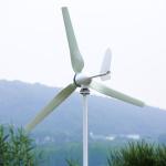 Lifepo4 Battery Wind Solar Hybrid System 3Kw Pure Sine Wave Low Frequency