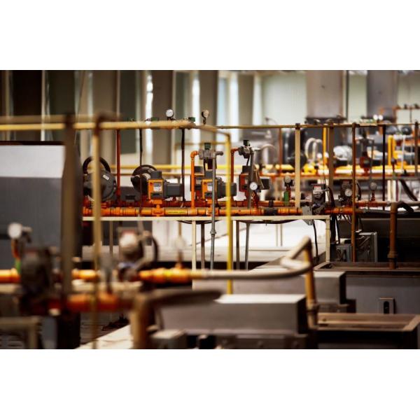 No Allergens 30*30mm 7% Moisture Crispy Fried Garlic