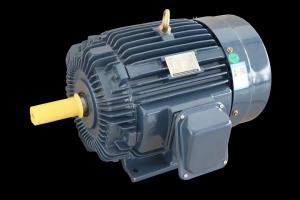 Industrial Three-Phase Induction Motor IP55 Protection F Level