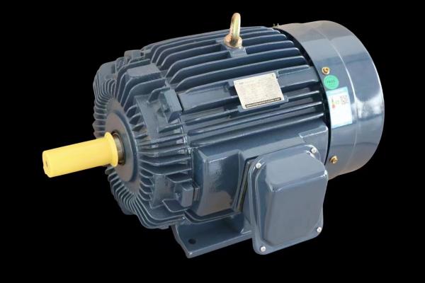Quality Industrial Three-Phase Induction Motor IP55 Protection F Level for sale