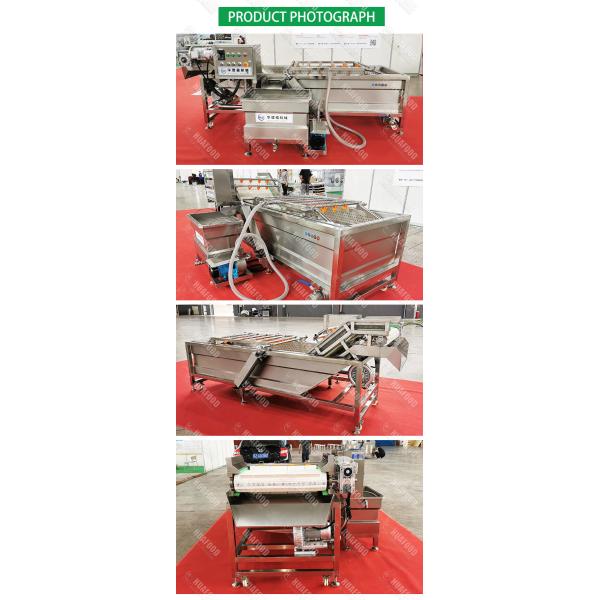 SUS304 Bubble Washing Machine Vegetable And Fruit 500kg/H Food Cleaning Machine